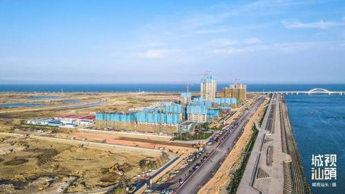 续写新城奇迹 中阳大道及新溪塔岗围市政工程全力推进