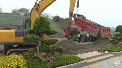 小坝市政工程迎宾大道一期主干道正式通车