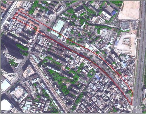 光明大街市政工程房屋征收补偿方案最新通告
