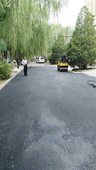 市政工程管理处 集中养护，筑牢城市运行基石